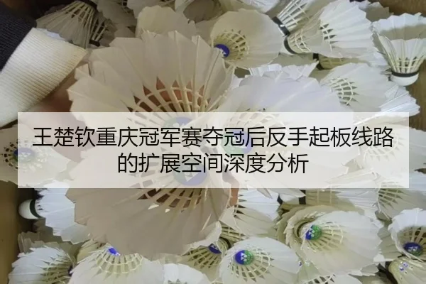 王楚钦重庆冠军赛夺冠后反手起板线路的扩展空间深度分析 - leyu